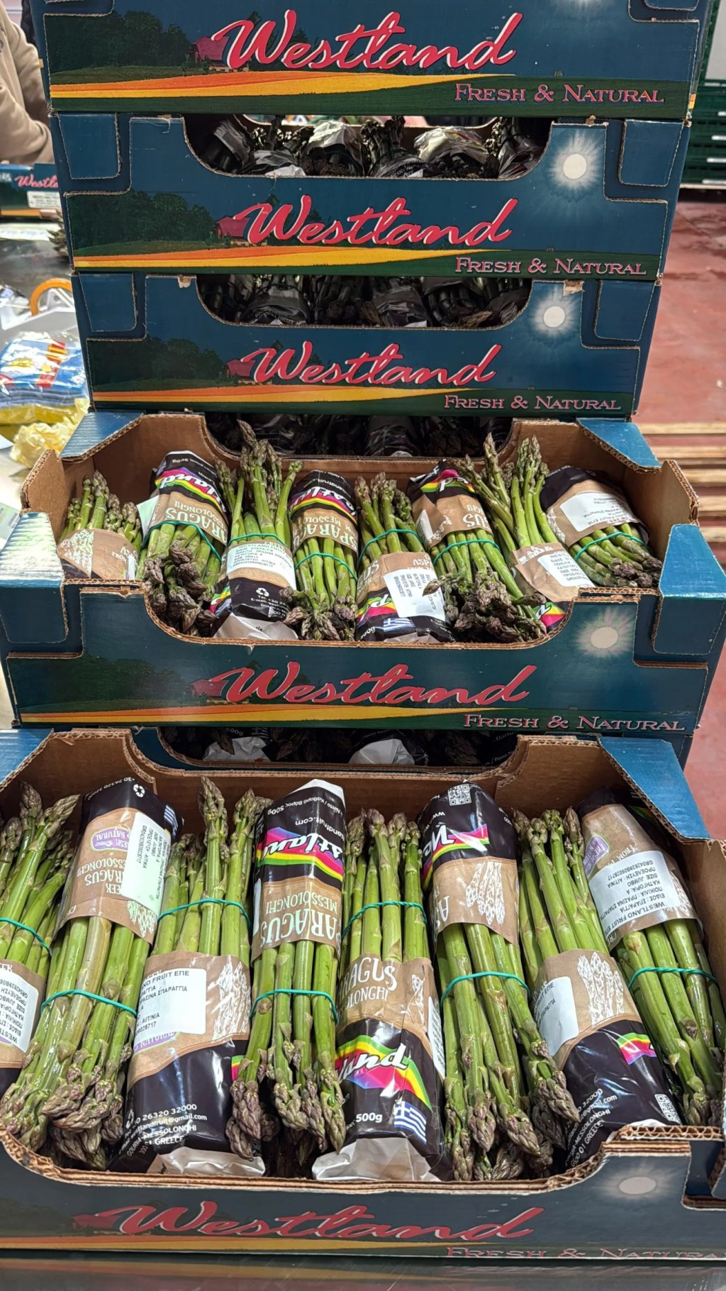 Bunches in cartons