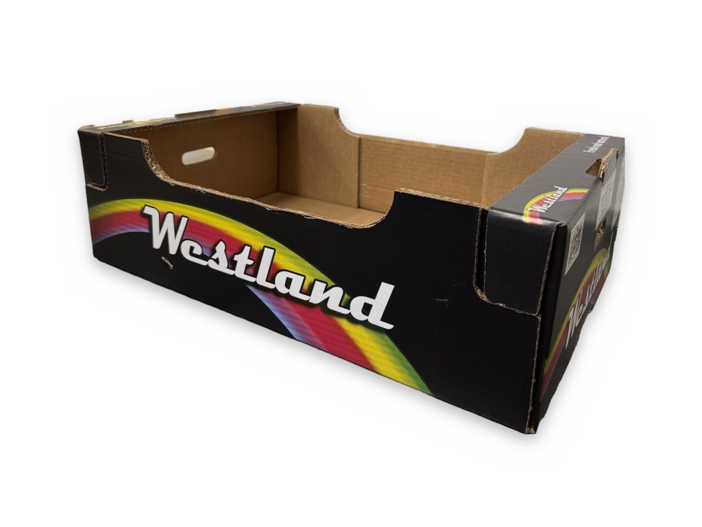 Westland carton, large